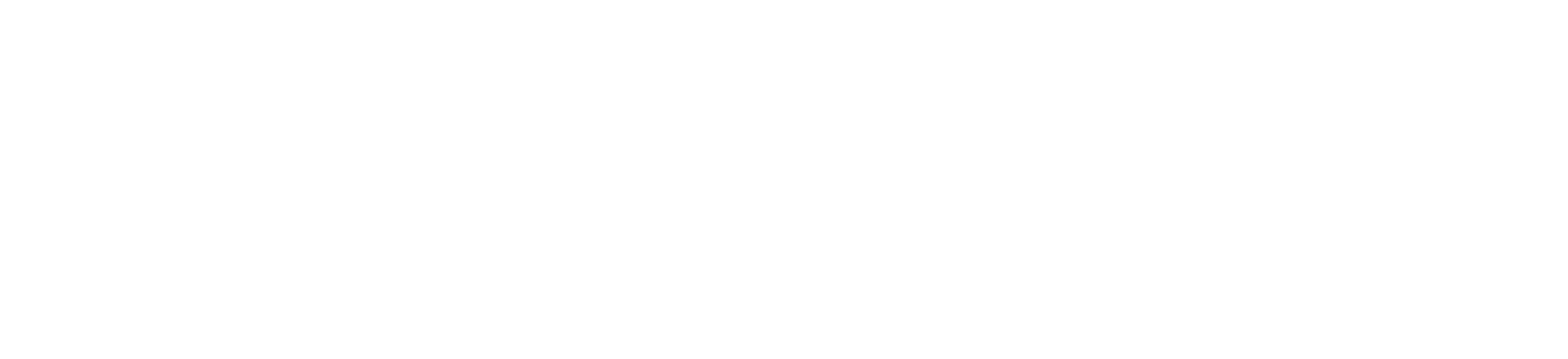 coderslink logo white